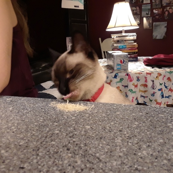 Boy, I remember that haircut like it was yesterday... - Picture 3 of 5